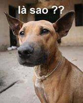 eqweqeq